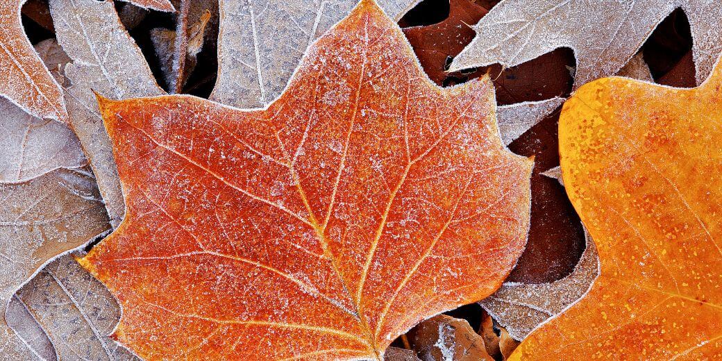 冬の乾燥でこわばりやすい肌のイメージ