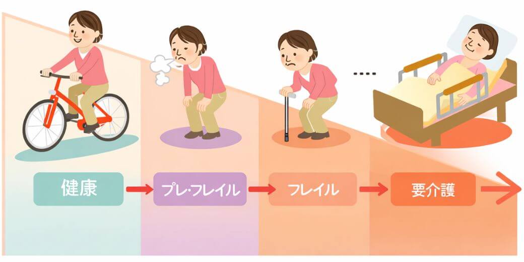 フレイルの段階を示すイメージ図