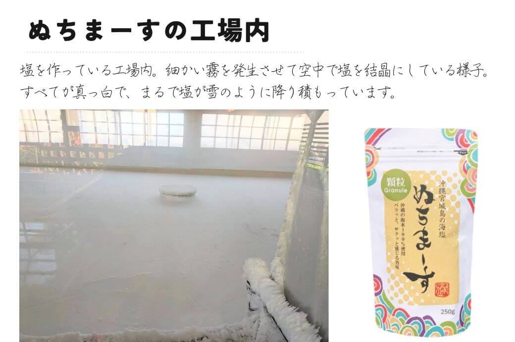 ぬちまーす工場見学 大人の遠足