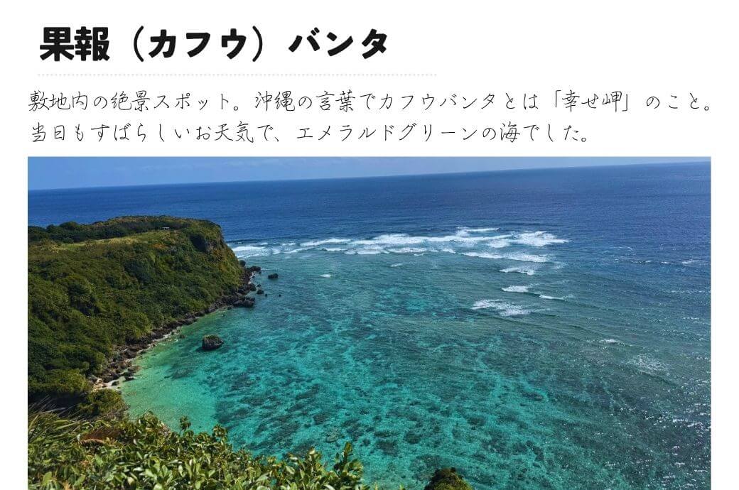 自然の中で楽しむ大人の遠足イベントの様子