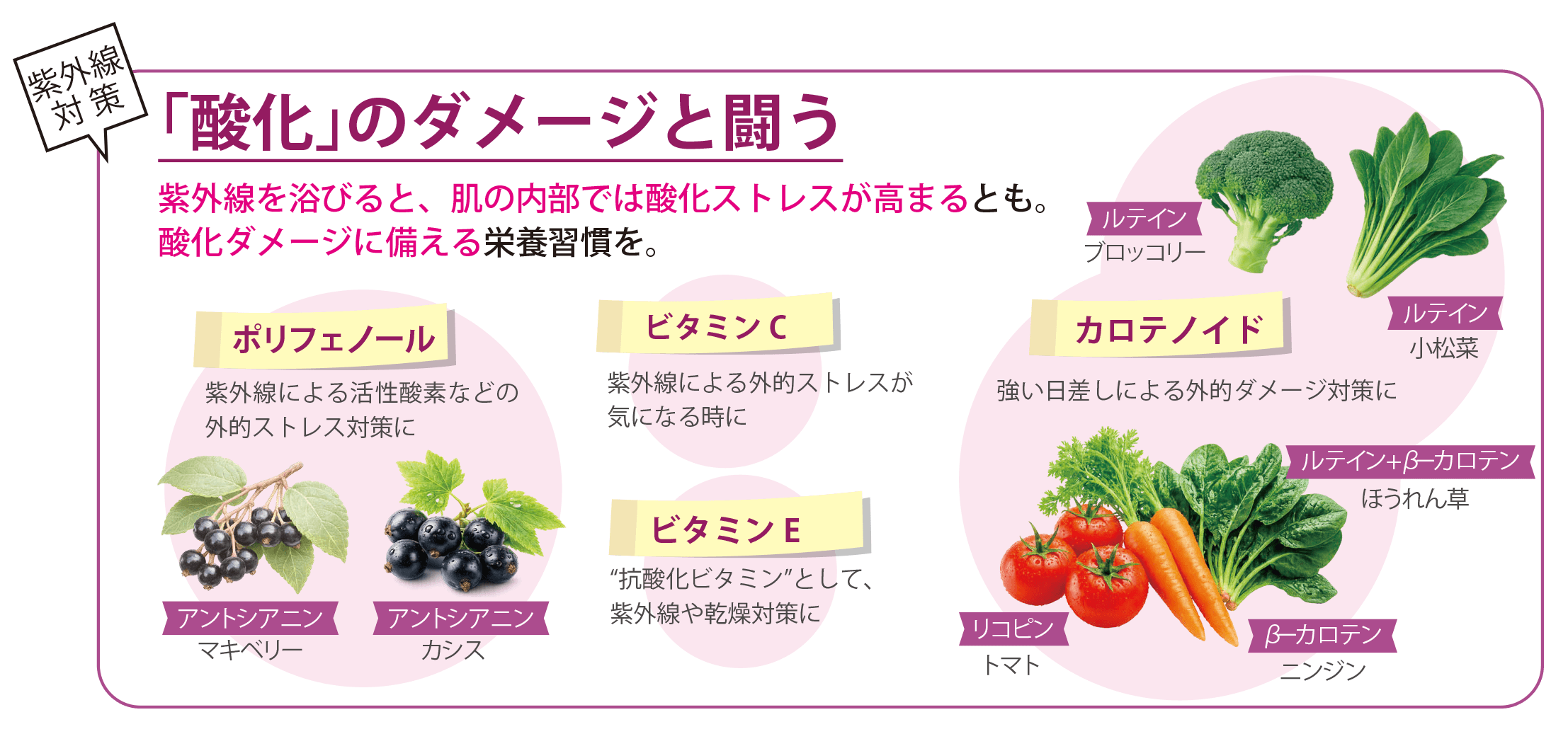 紫外線と活性酸素の関係を示した抗酸化イメージ