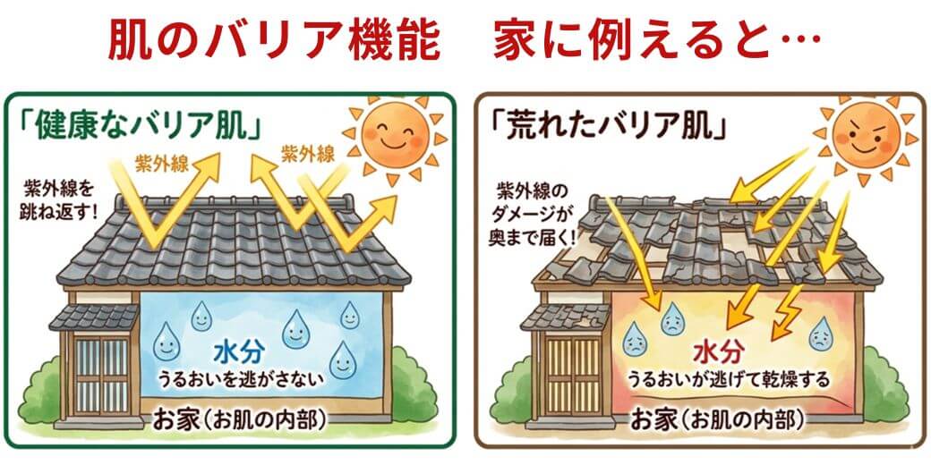 肌のバリア機能を屋根瓦で表現したイラスト