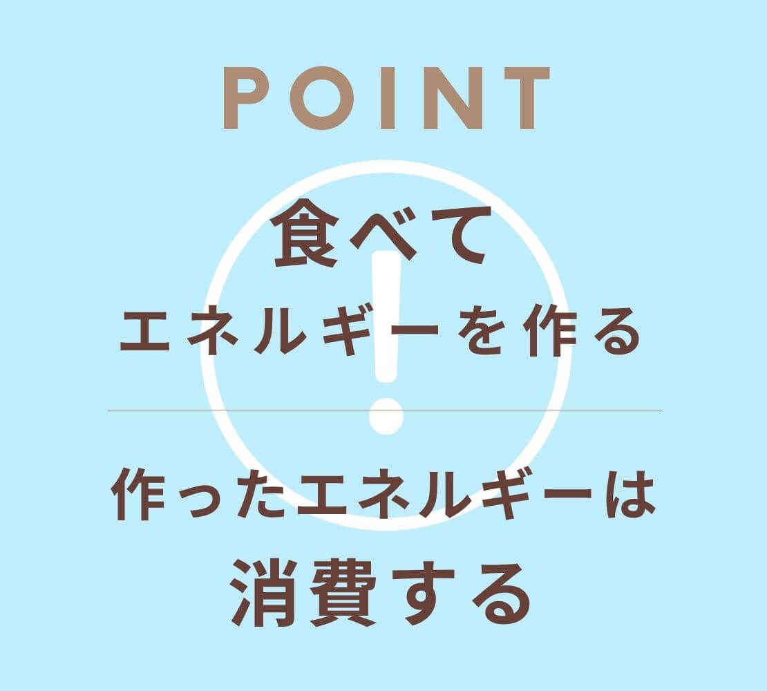 内臓脂肪対策のポイントをまとめた図